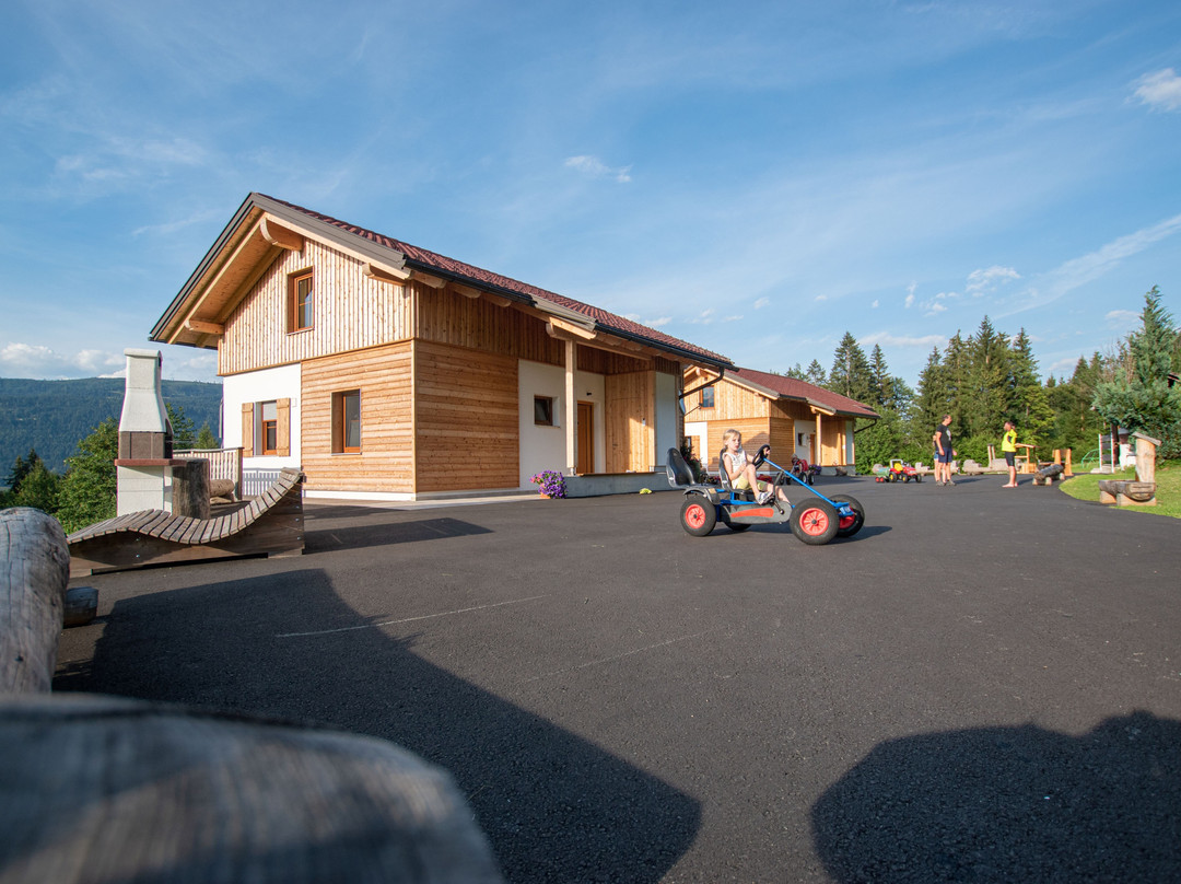 Chalets Und Apartments Hauserhof主图