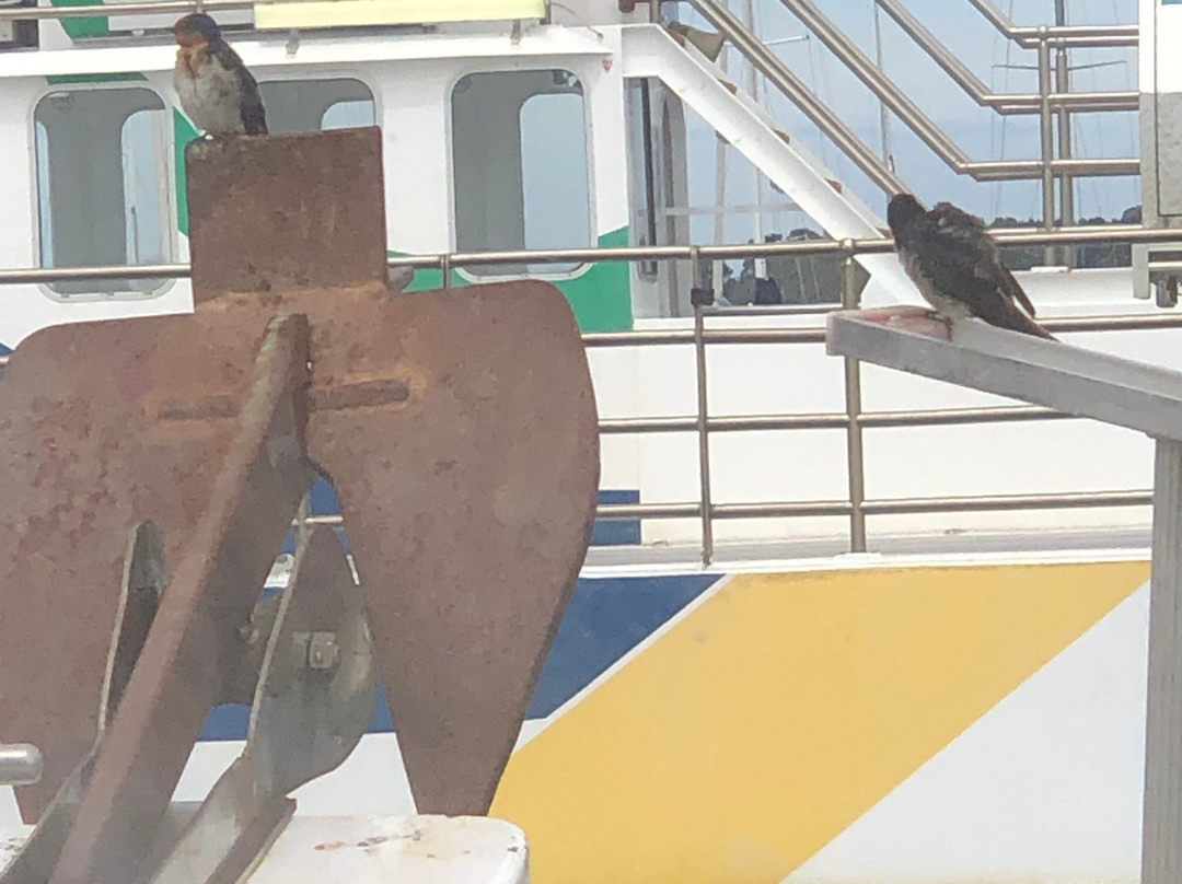 Riviera Nautic-Metung必去景点