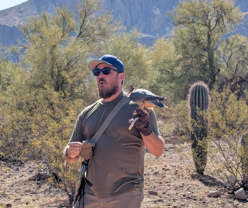 Sky Island Falconry Experience-图森必去景点