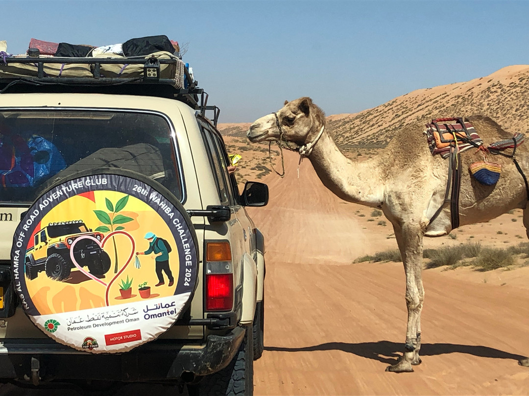 Safari Desert Camp主图