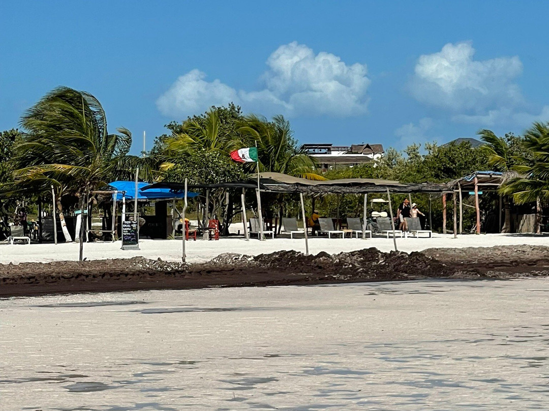 Playa Punta Cocos景点图片