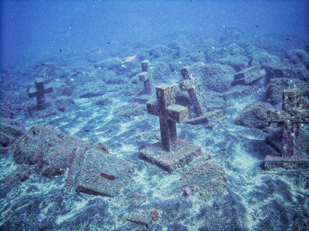 Punkfish Diving La Palma景点图片
