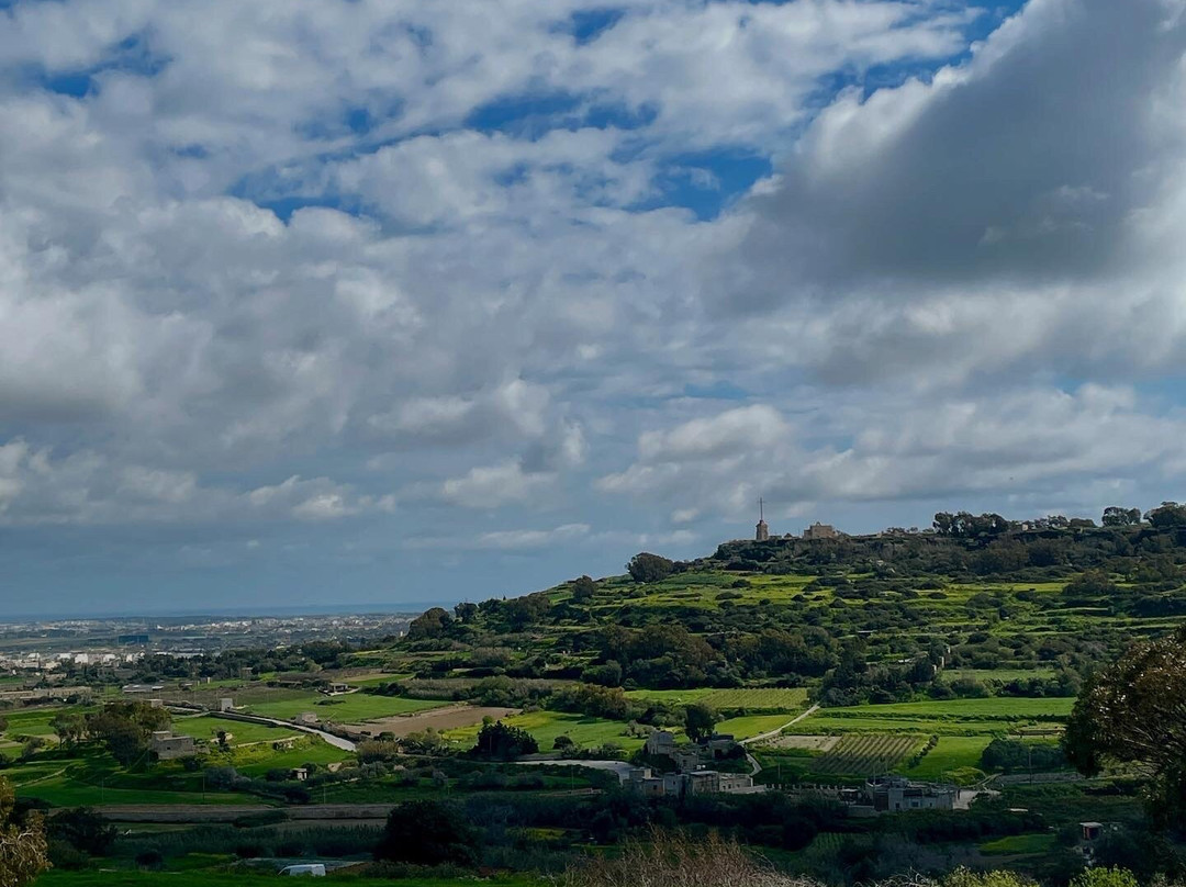 Malta Nature Tours-Zebbug必去景点