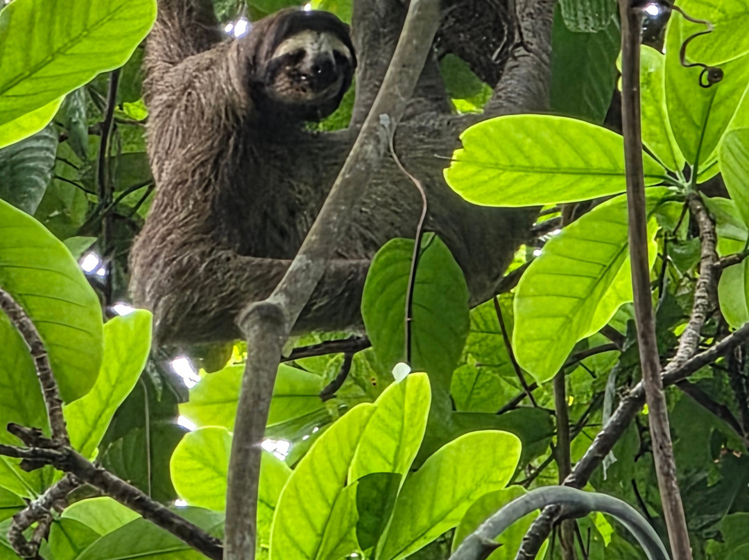 Ancon Hill-巴拿马城必去景点
