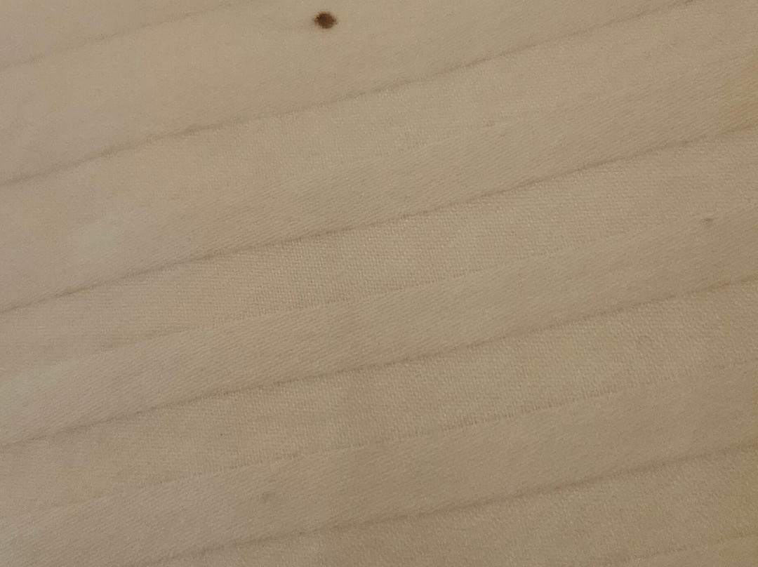 La Quinta Inn & Suites by Wyndham Mesa Superstition Springs主图