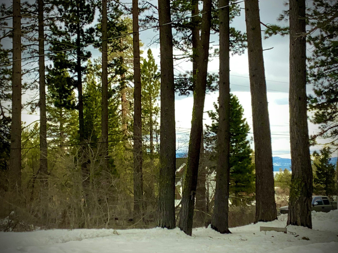 Tamarack Lodge主图