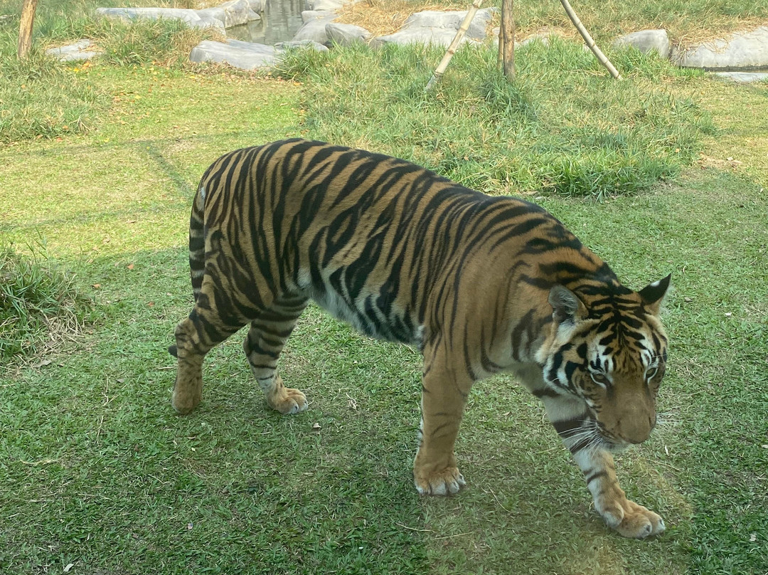 Eagle Cambodia Travel-暹粒必去景点