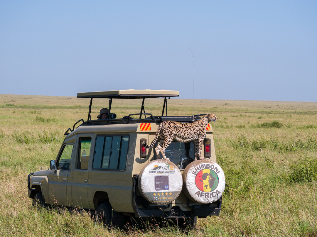 Priva Safaris and Adventures-姆万扎必去景点