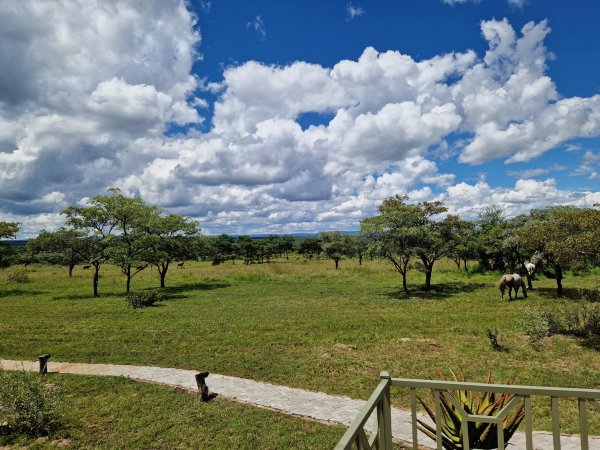 Ant's Hill-酒店景观