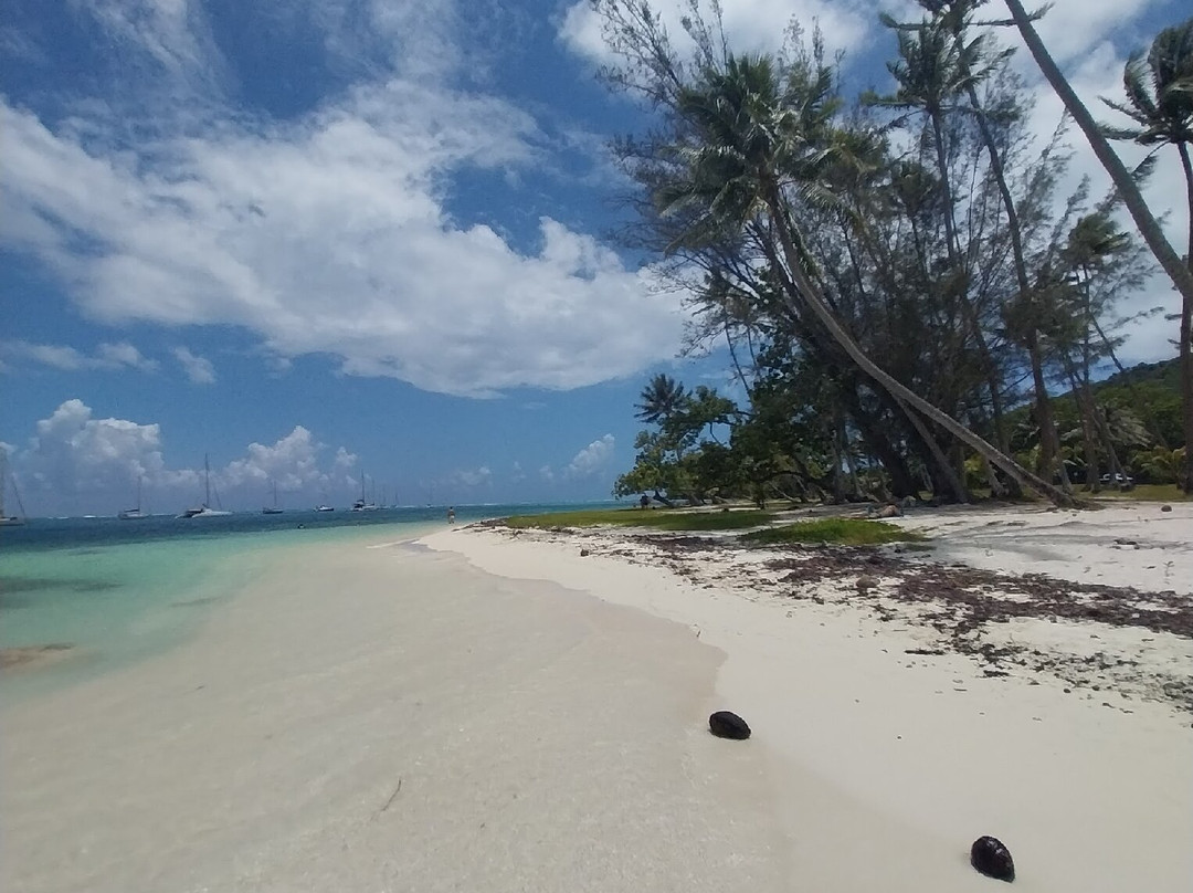 Ta'ahiamanu Beach景点图片