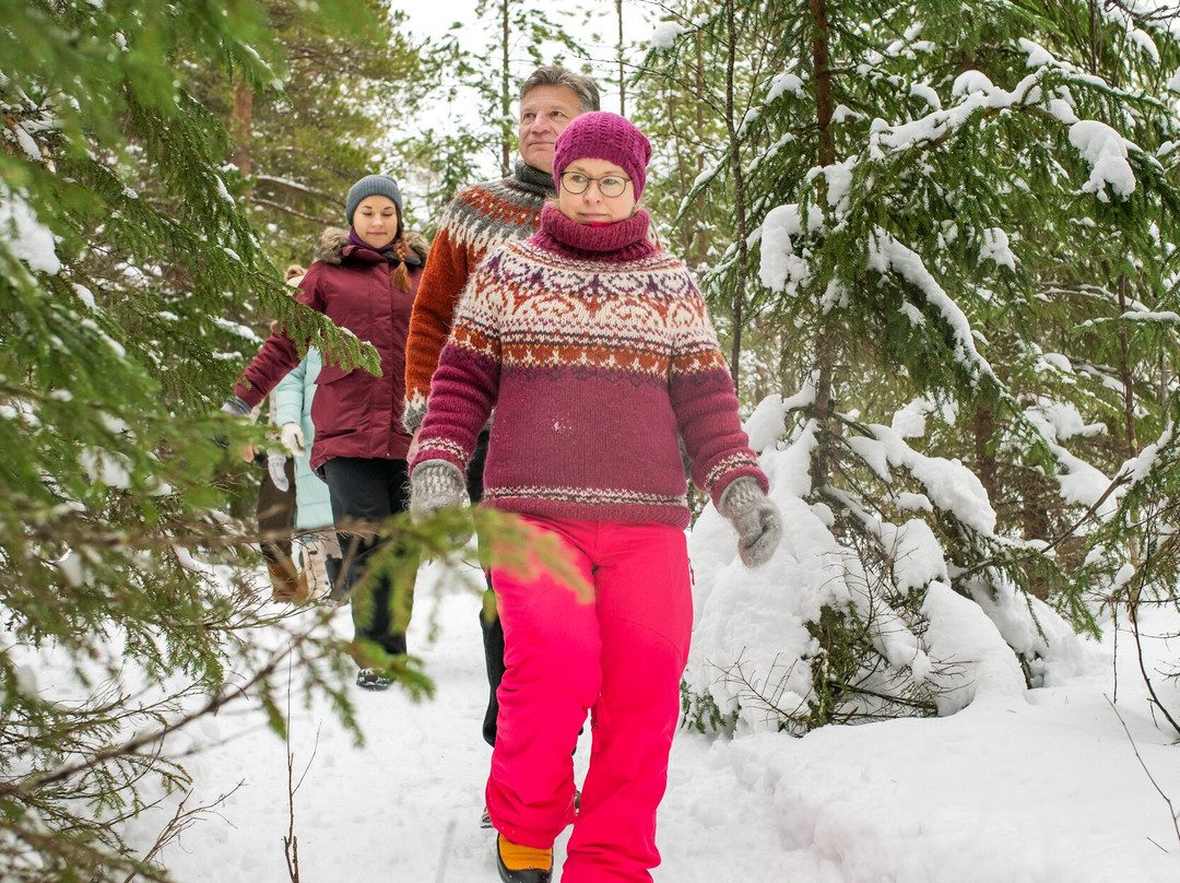 Soundforest - Sointumetsä-Keminmaa必去景点