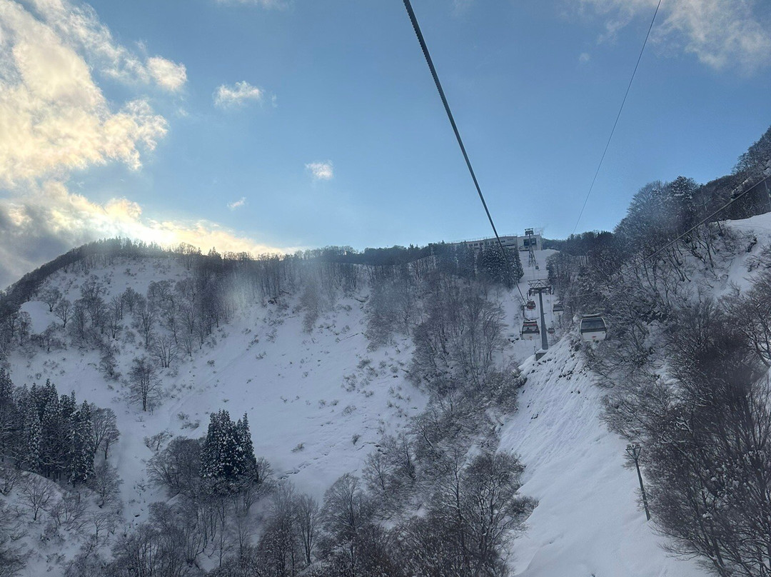 汤泽滑雪场景点图片