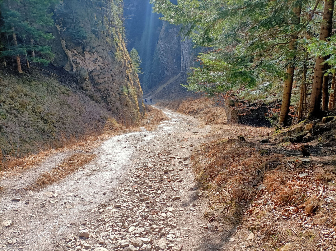 Hotel Nad Przelomem主图
