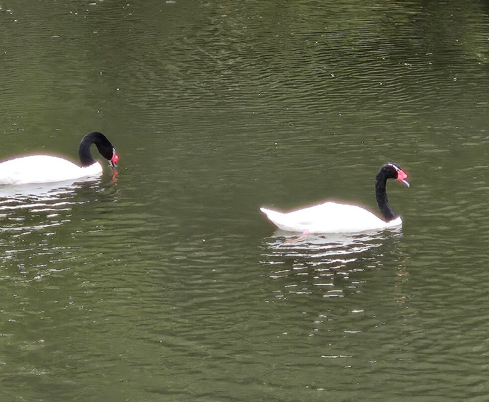 Parque Tricao-Santo Domingo必去景点