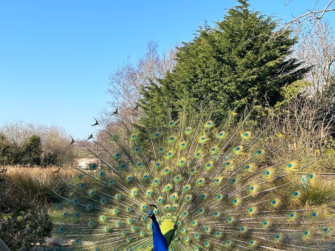 Curraghs Wildlife Park-Ballaugh必去景点