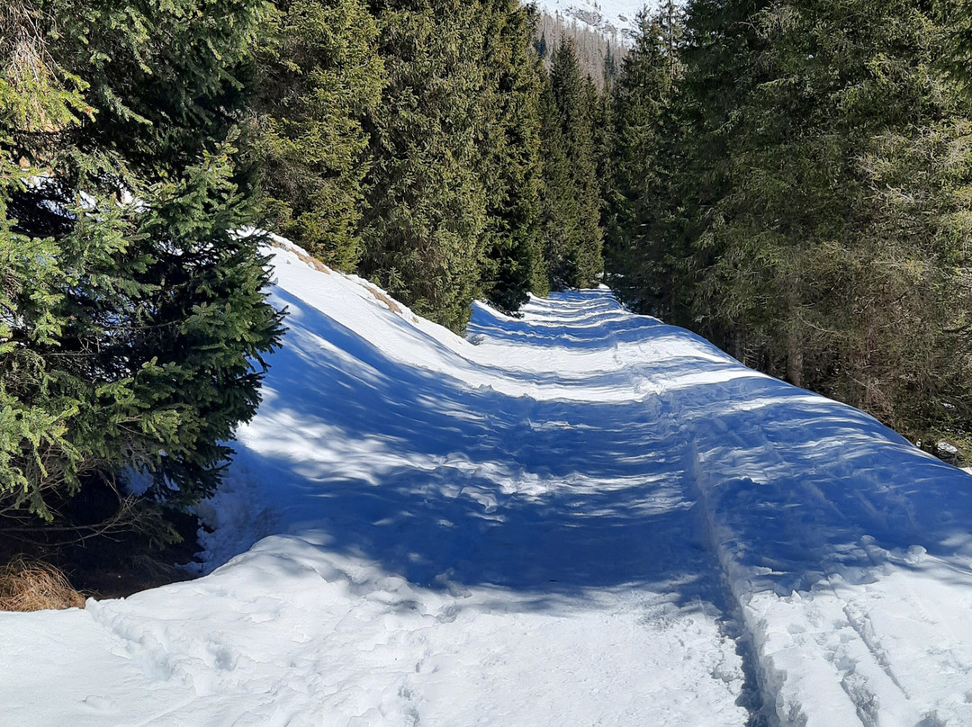 Val Venegia e Baita Segantini景点图片