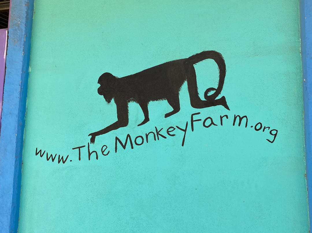 The Monkey Farm景点图片