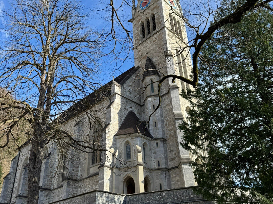 Kathedrale St. Florin景点图片