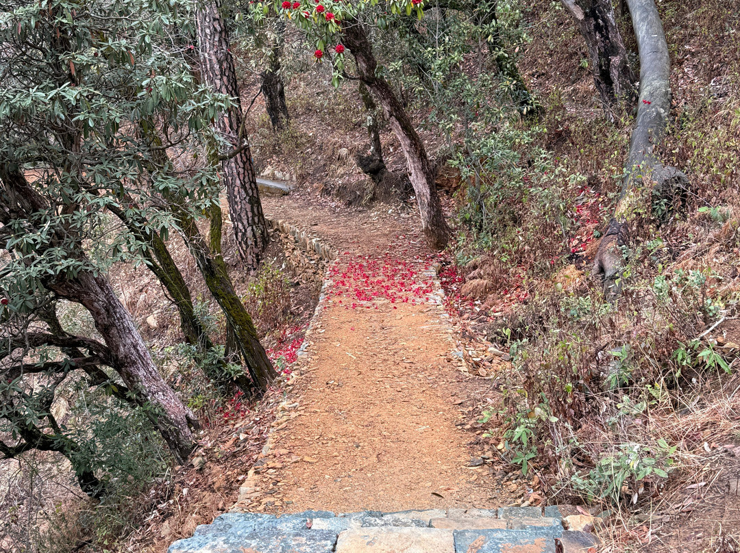 Vanprastha Resorts主图