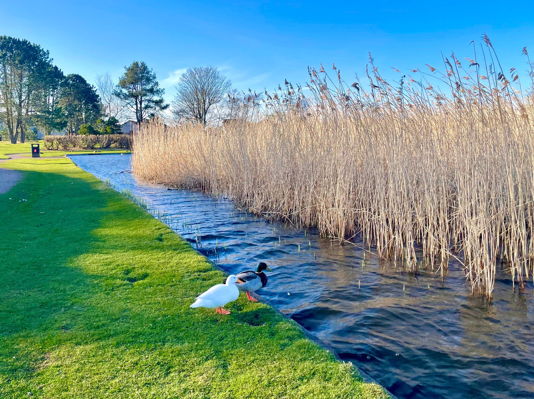 Tayport Common-Tayport必去景点