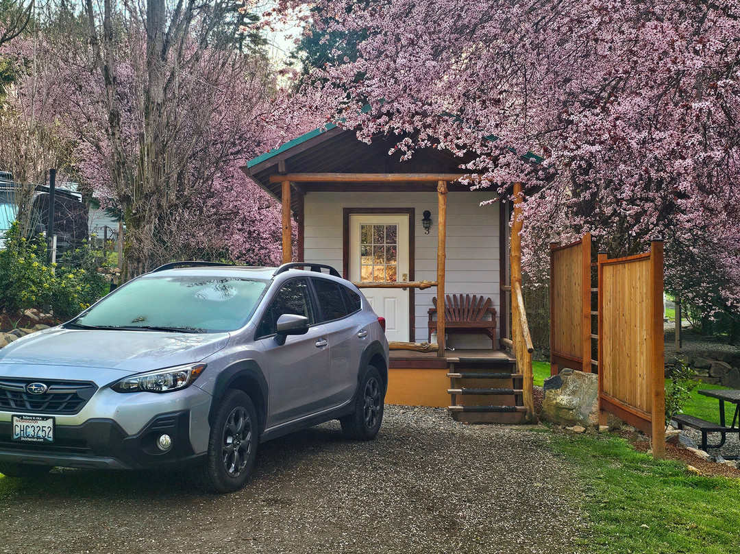 Umpqua's Last Resort主图