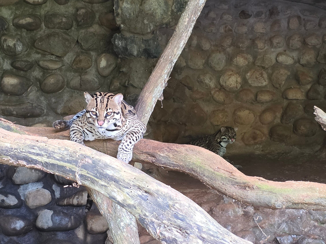 Hillary Nature Resort & Spa主图