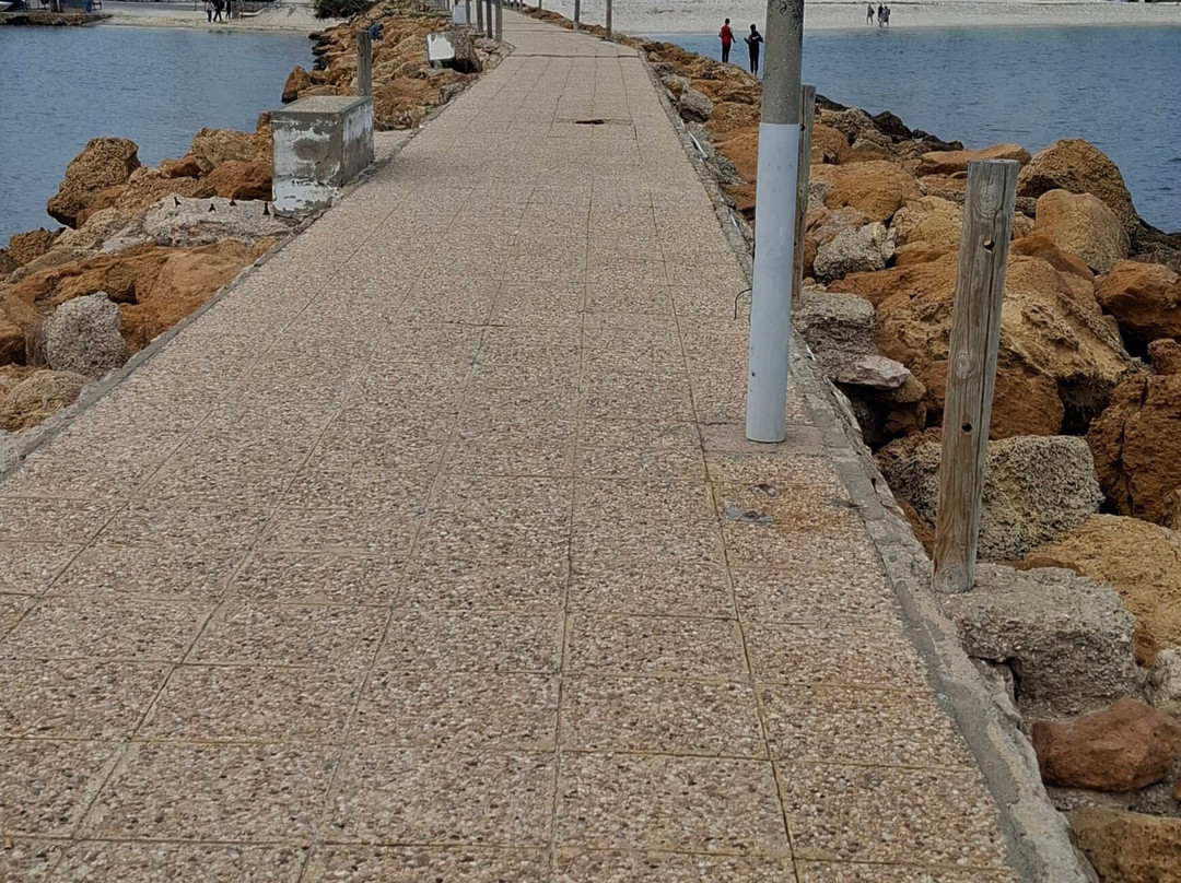Starboard Harbour Wall-康大维港必去景点