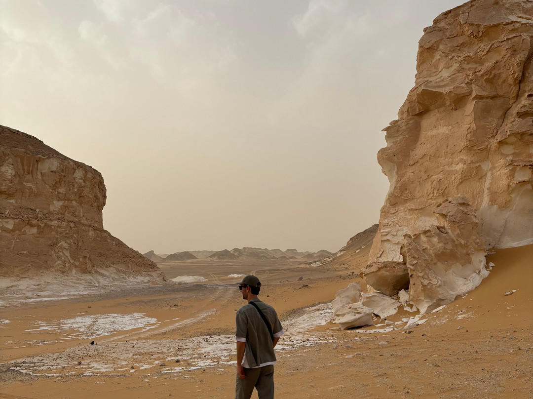 Jimmy Egypt Safari景点图片