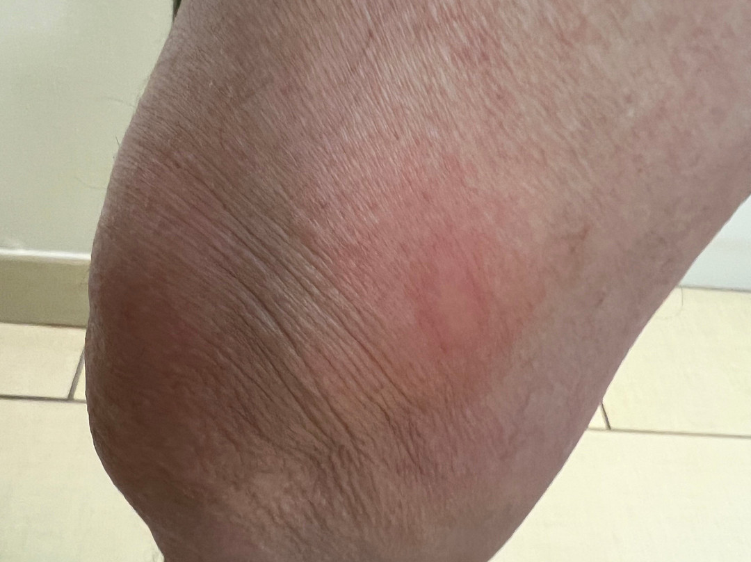 Hampton Inn Jackson/Pearl-Interntional Airport主图