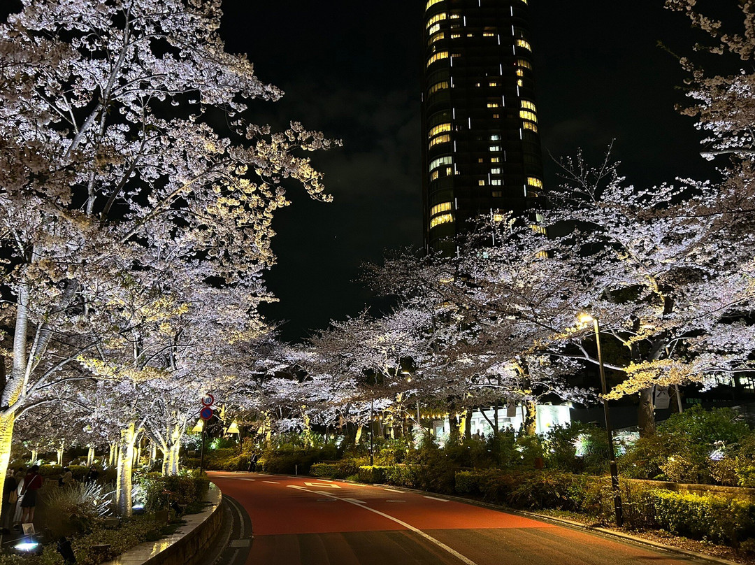 Tokyo Midtown Garden-Akasaka必去景点