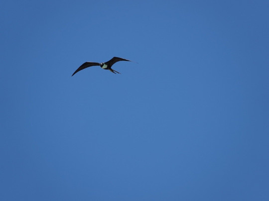 MIKA TOURS-拉巴斯必去景点