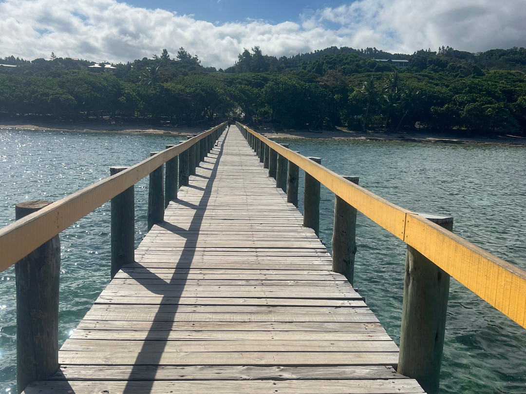 Bula Hotel Transfers & Tours-纳迪市必去景点