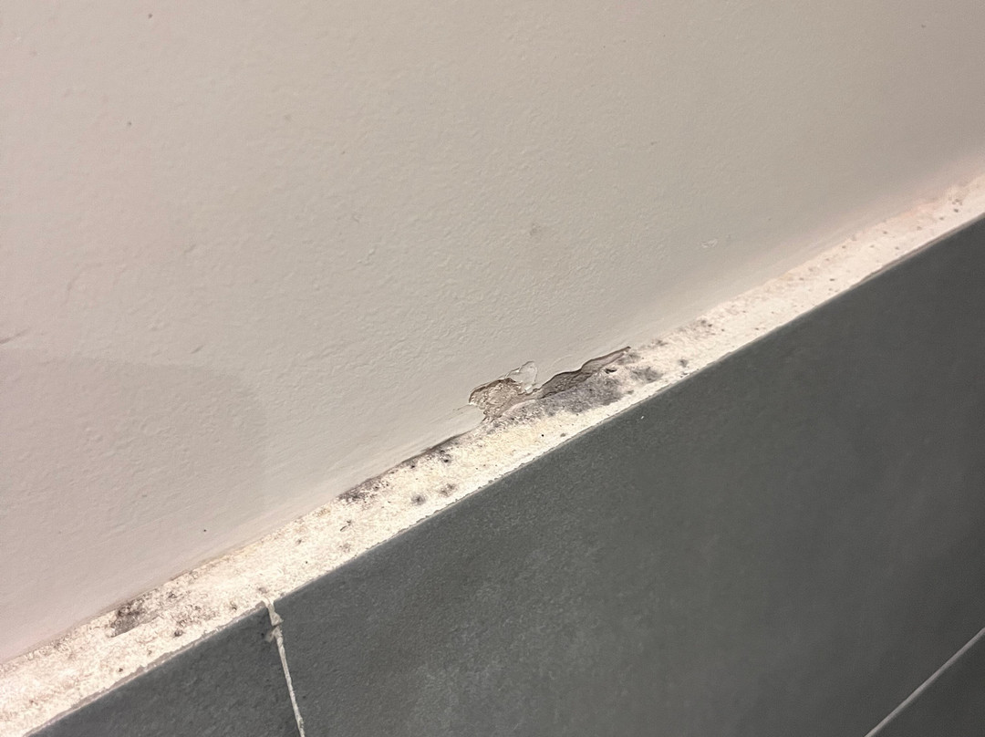 The Convo Athens Riviera主图