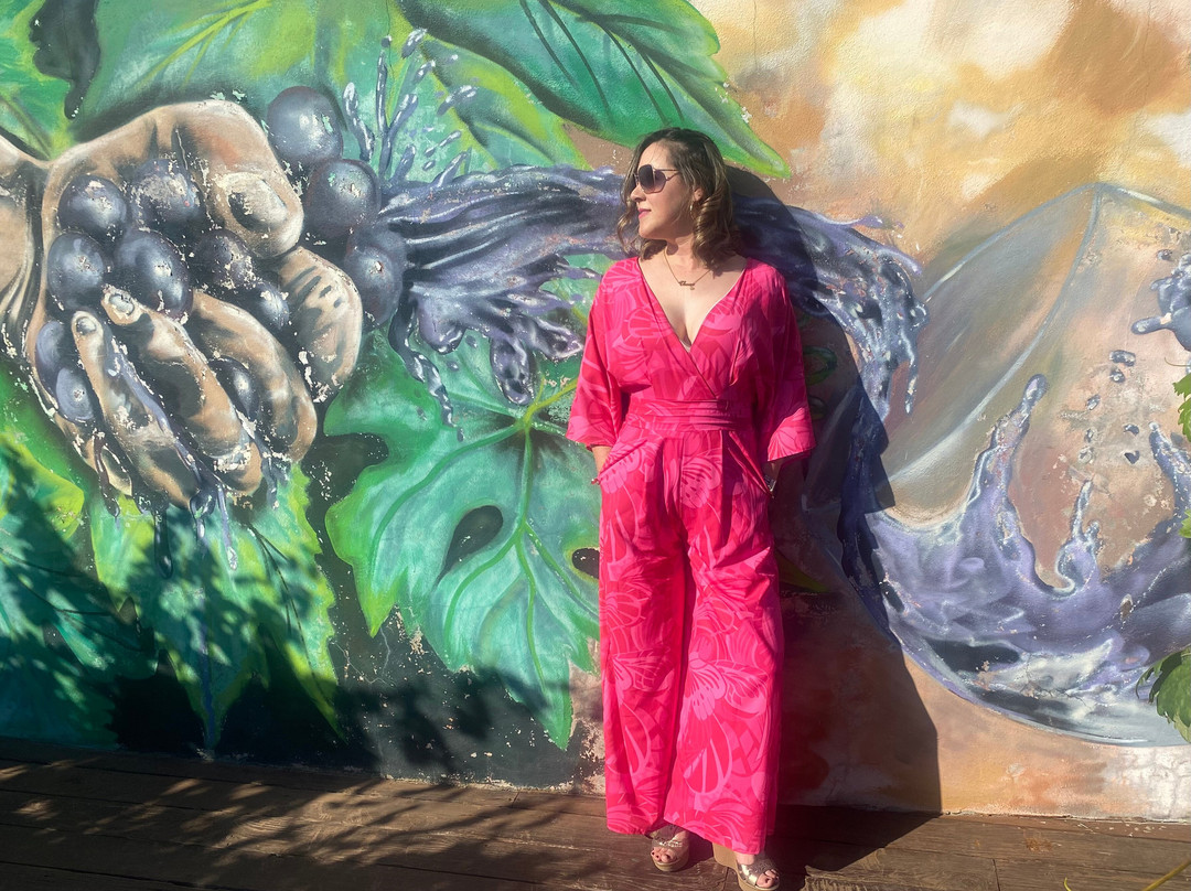 San Marcos酒店住宿-Siempre Valle