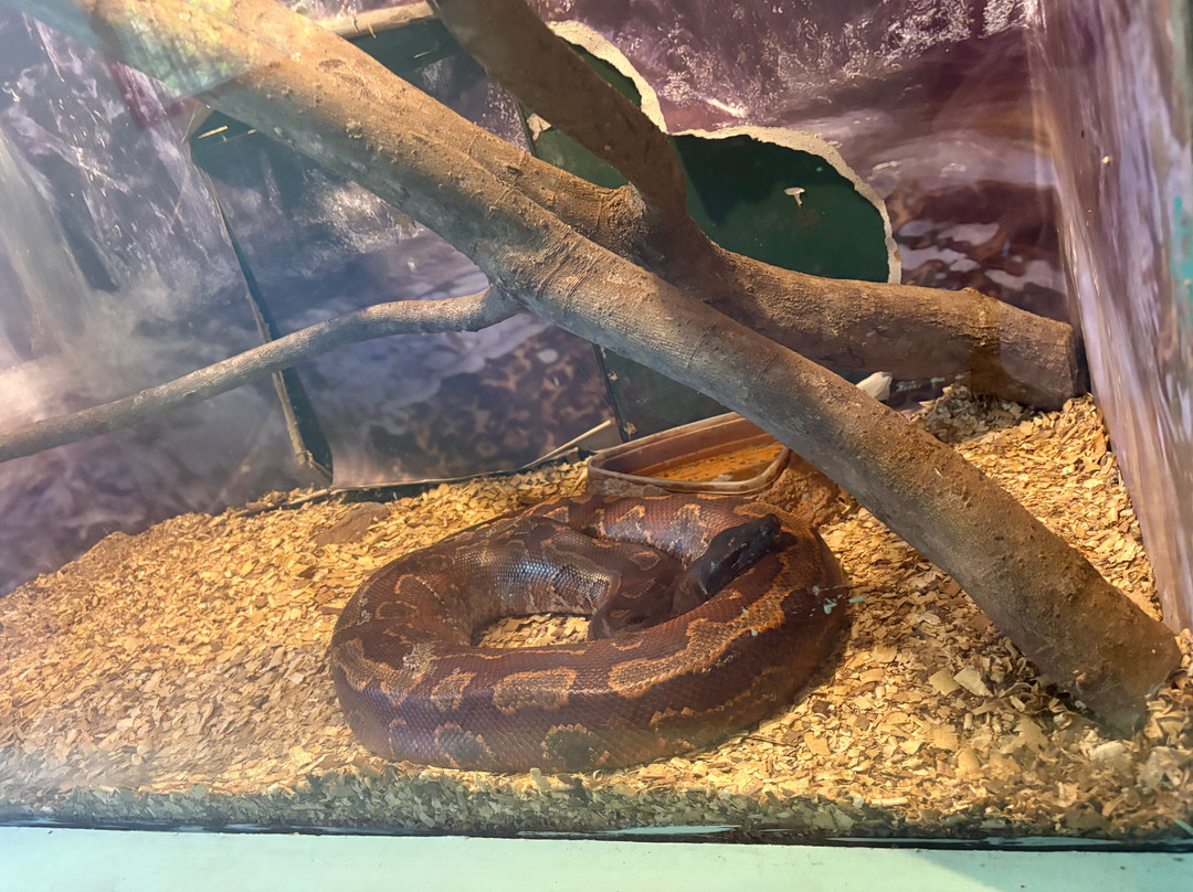 Bio Centro Iguazu-伊瓜苏港必去景点