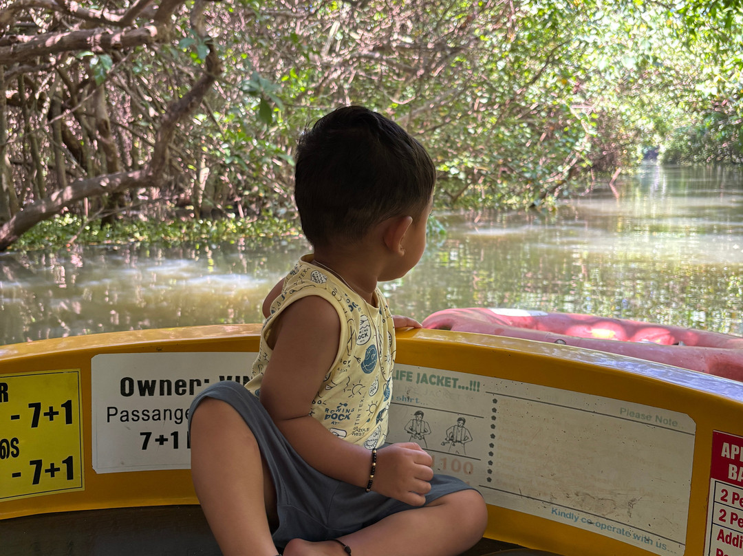 Poovar Boating-Poovar必去景点
