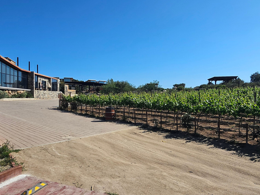 Samsara Spa by Contemplacion Hotel-Tierra Santa必去景点