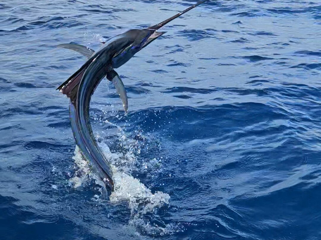 Cacho's Surf School-诺萨拉必去景点