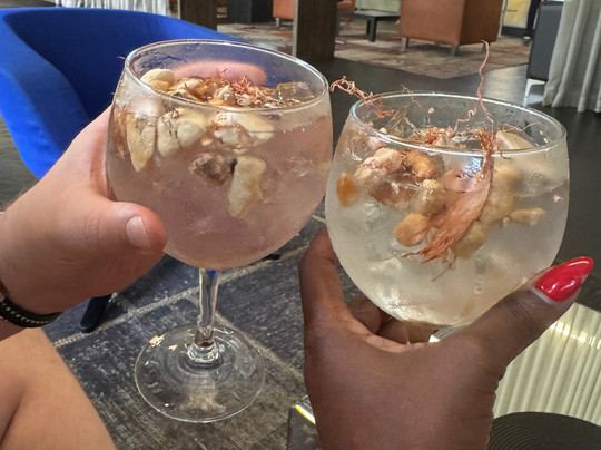 Executive Hotel Samba