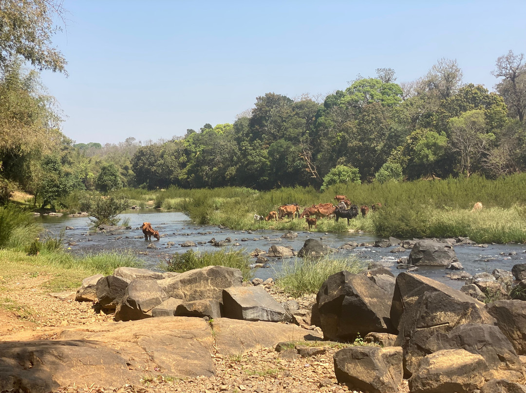 Ayurveda Yoga Villa Group Of Retreat Centres And Hospitals主图