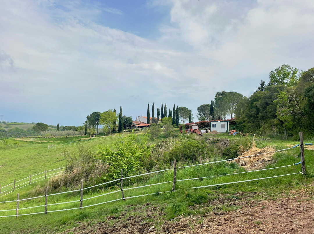 Azienda Agricola Diegale-Civitella Marittima必去景点
