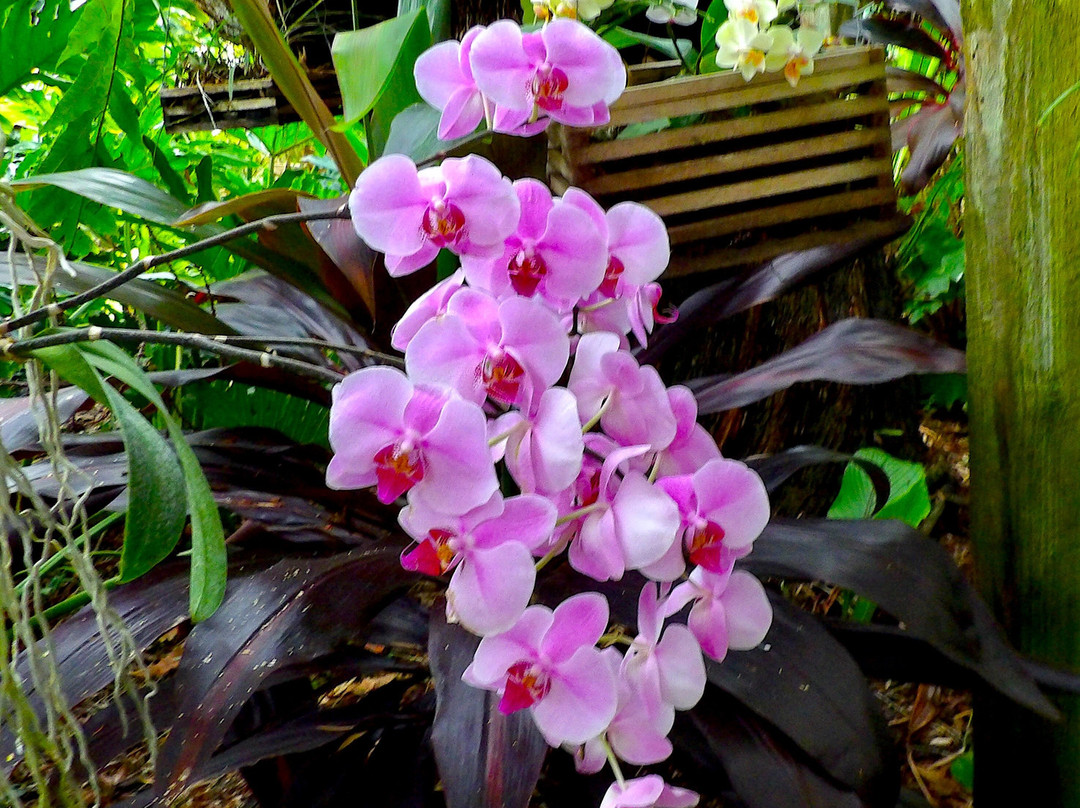 Eureka Springs Park-坦帕必去景点