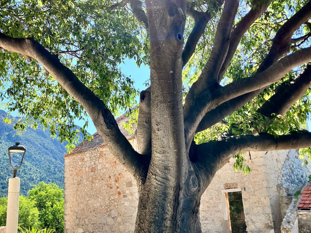 Church of Our Lady of the Rosary-Igrane必去景点