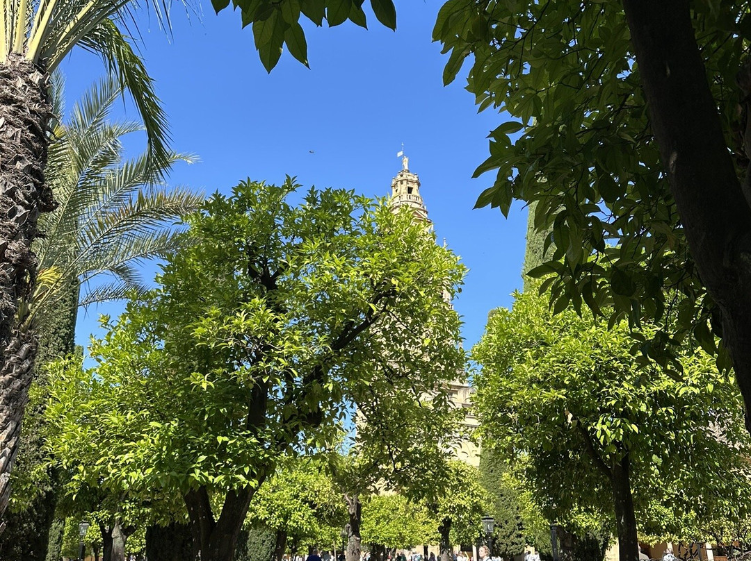 Patio de los Naranjos-科尔多瓦必去景点