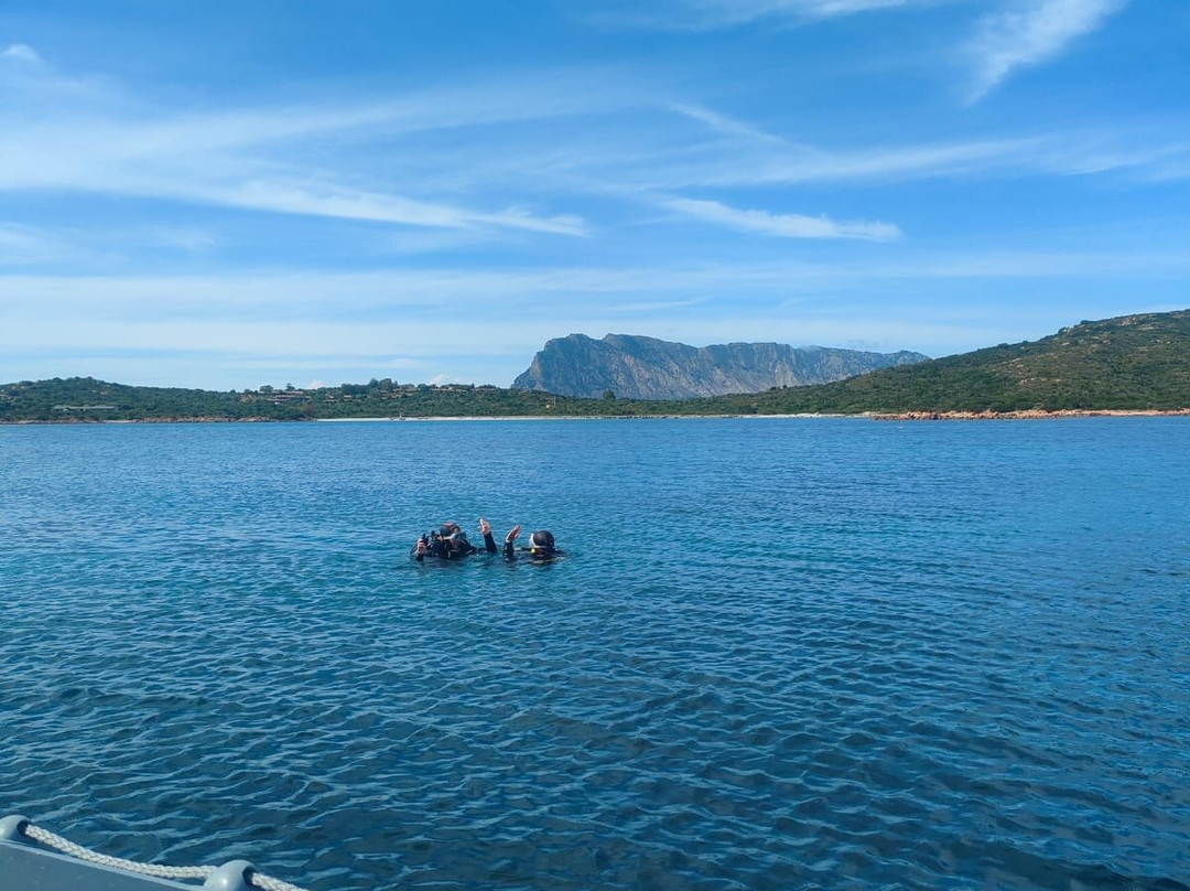 Discovery Diving Sardegna-Puntaldia必去景点