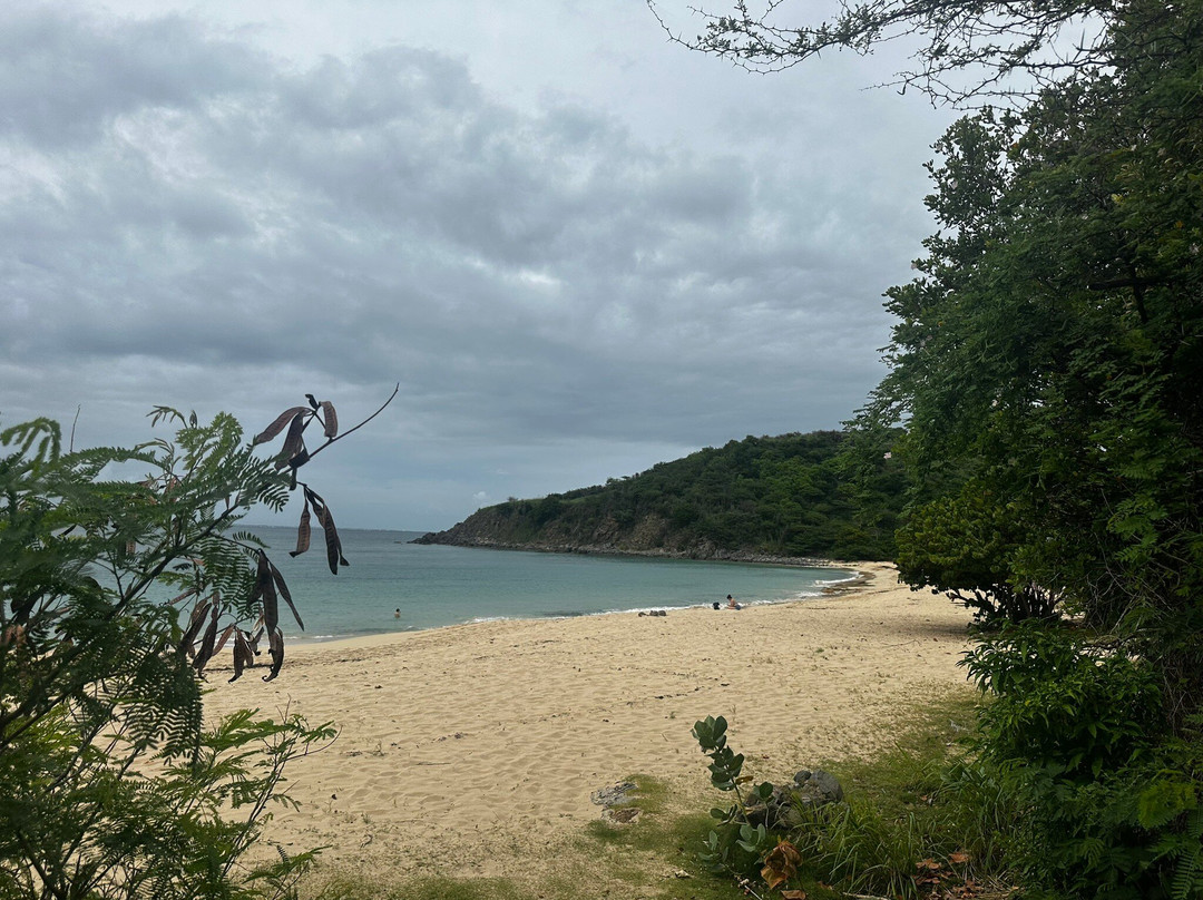 Happy Bay Beach-圣马丁岛必去景点