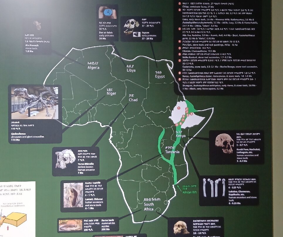 National Museum of Ethiopia景点图片