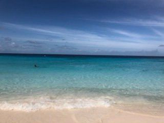 Sylvie Resort Curacao主图