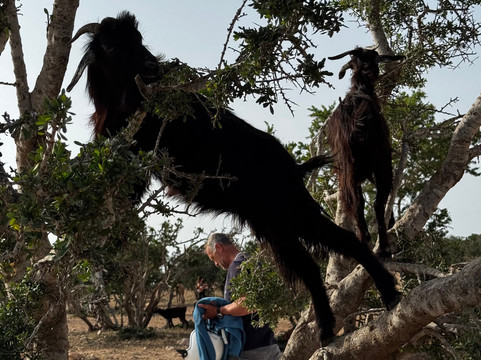 Lou's Rides-索维拉必去景点
