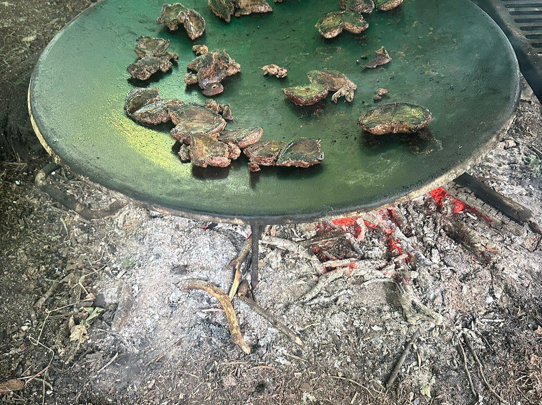 Back to Wilderness-Brandon必去景点